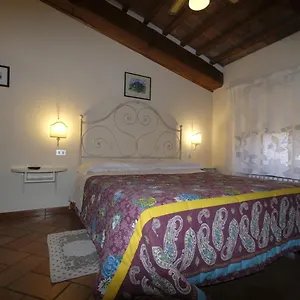 Oliviera , Pienza Italia
